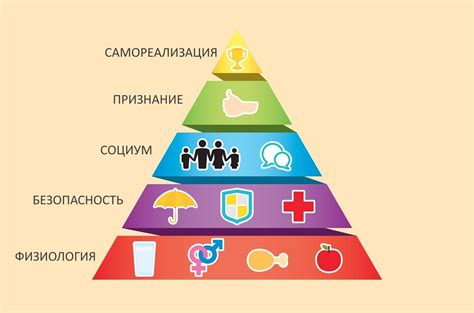 Куры: основные потребности