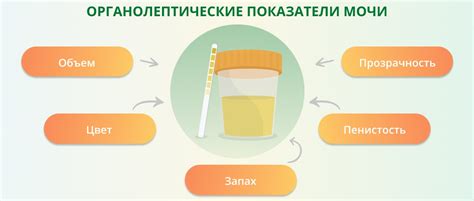 Лечение ОРВИ с бактериями в моче