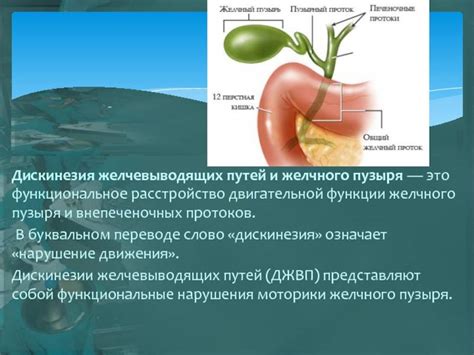 Лечение загиба желчного пузыря