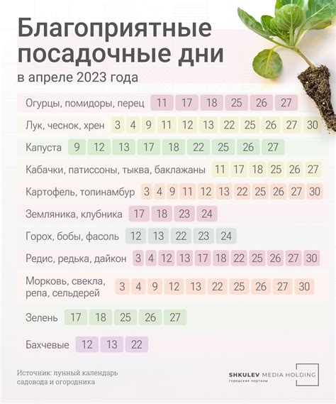 Лунный календарь для саженцев голубики в сентябре