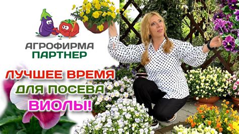 Лучшее время для посева