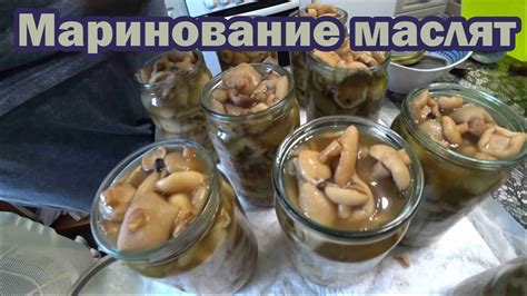 Маринование маслят