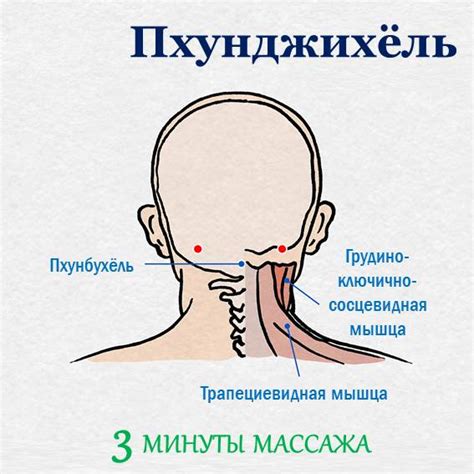 Массаж шеи и гортани для улучшения качества голоса