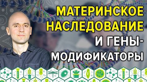 Материнское отчество и наследование