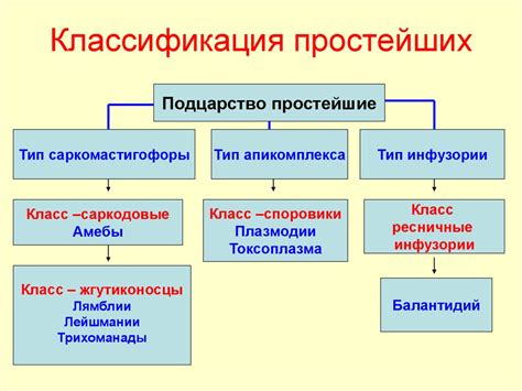 Медицинская классификация