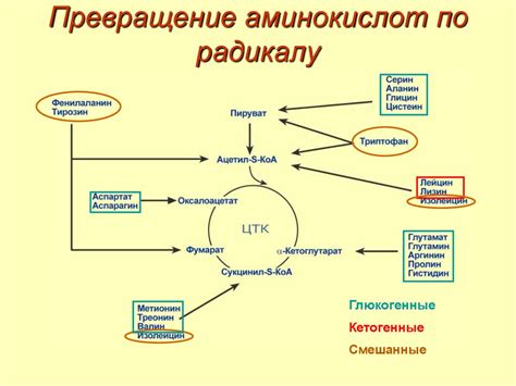 Медицинские методы повышения уровня гормона роста