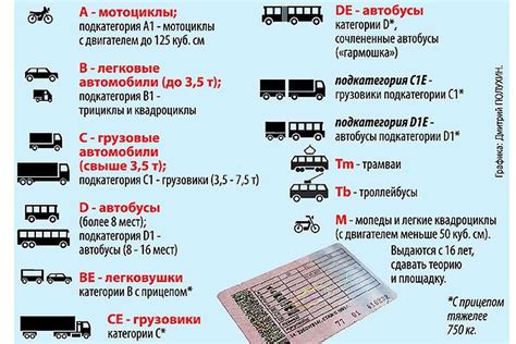 Медсправка и категория водительских прав: есть ли связь?