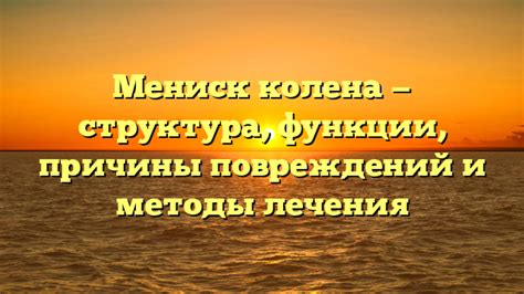 Мениск: функции и структура