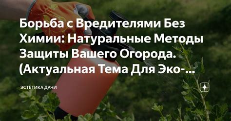 Методы борьбы с вредителями и болезнями