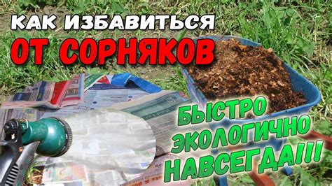 Методы борьбы с лагами в Minecraft