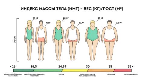 Методы измерения жировой массы тела