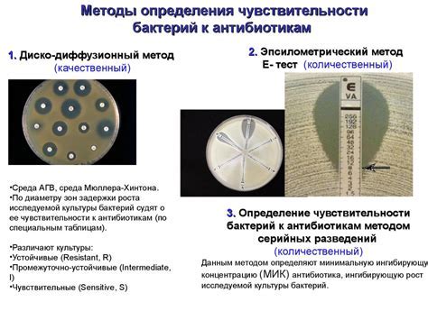 Методы определения готовности тыквы