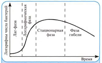 Методы определения фазы луьтеинизации