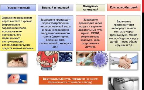 Методы передачи инфекции от собаки