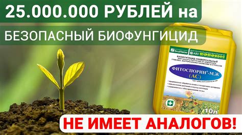 Методы применения фитоспорина