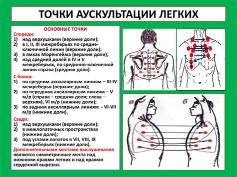 Методы проверки работоспособности легких и бронхов у ребенка