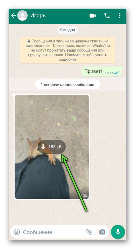 Методы сохранения аватарки WhatsApp в галерею на Андроид