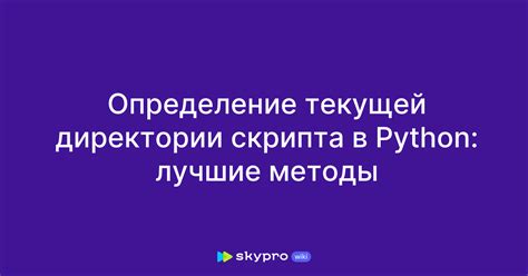 Методы сохранения в рабочей директории Python