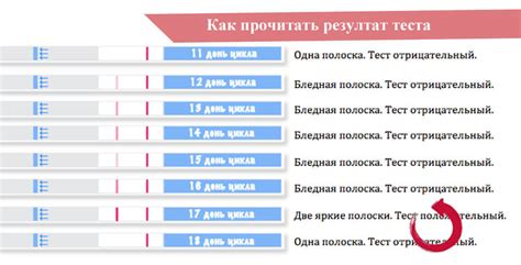 Методы тестирования на овуляцию: тесты на фертильность и бодибейсел температуры