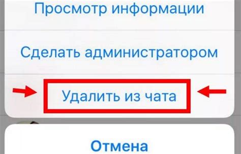 Методы удаления участников из группы Telegram