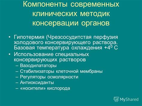 Метод 1: Использование специальных растворов