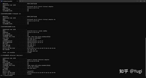 Метод 4: IPConfig