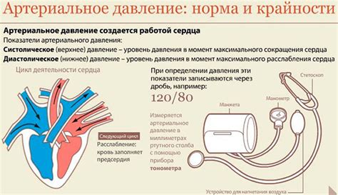 Механизмы влияния недосыпания на артериальное давление