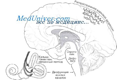 Механизмы возникновения головокружения