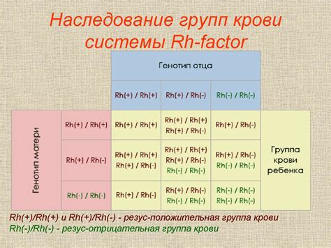 Механизмы наследования группы и резус-фактора