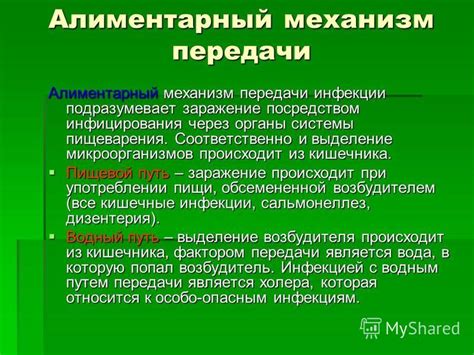 Механизмы передачи цвета кожи