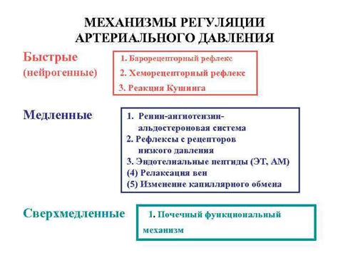 Механизмы повышения артериального давления после приема антибиотиков