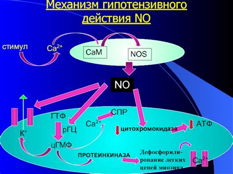 Механизм действия оксида церия