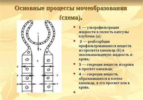 Механизм образования закала