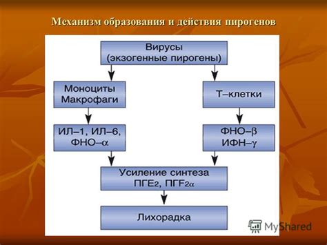 Механизм образования синяков