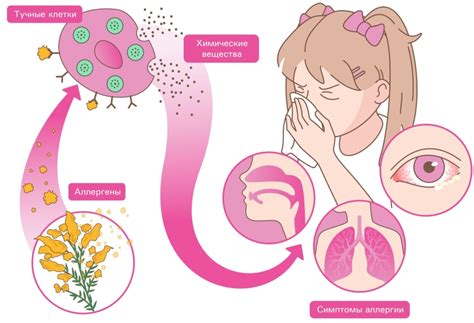 Механизм развития аллергической сыпи