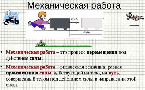 Механическая работа тела организма: основные составляющие