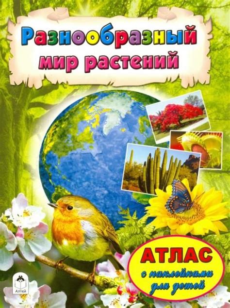 Мир растений: путешествие в растительное царство