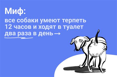 Миф: можно ставить банки два раза в день?