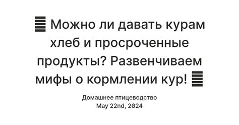 Мифы и правда: можно ли курам давать свежий хлеб?