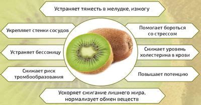 Мифы и реальность: можно ли киви при сахарном диабете?