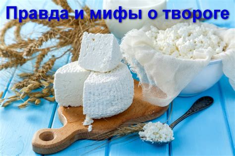 Мифы и реальность о твороге с медом на ночь