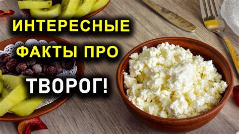 Мифы и факты о твороге для детей