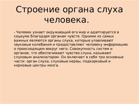 Мифы о ветре и его влиянии на слуховые органы