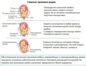 Мифы о начале схваток без пробки