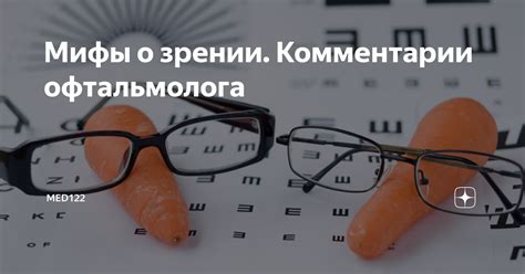 Мифы о ночном зрении у хомяков