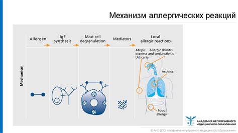 Миф 3: Капуста вызывает аллергические реакции