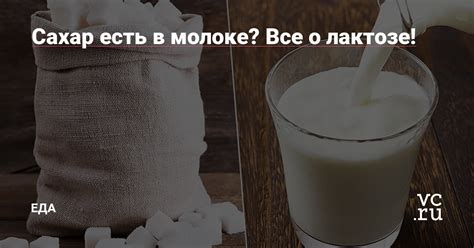 Мнение о лактозе в козьем молоке у людей с непереносимостью лактозы