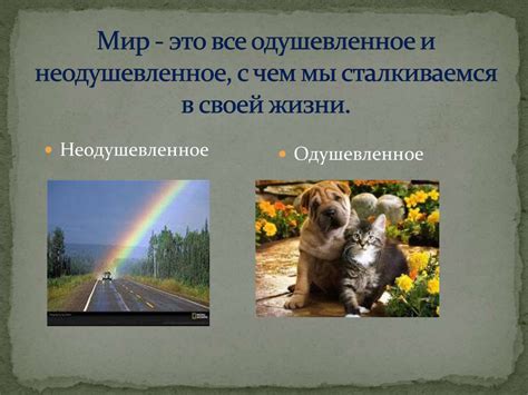 Мое отношение к окружающему миру