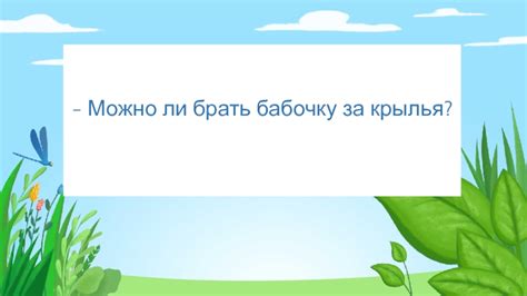 Можно ли брать бабочку за крылья?