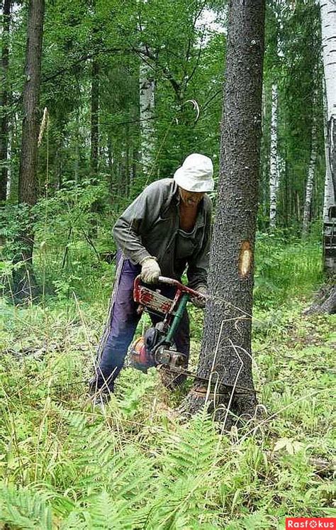 Можно ли пилить мерзлую землю бензопилой?